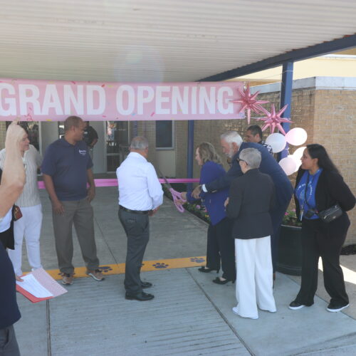 People gather under a canopy for a ribbon-cutting ceremony at the building entrance, decorated with a pink "Grand Opening" banner, celebrating the EmpowHER Latina Expo.