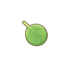 vegetable leaf